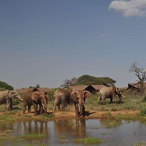 Kilima Safari Camp